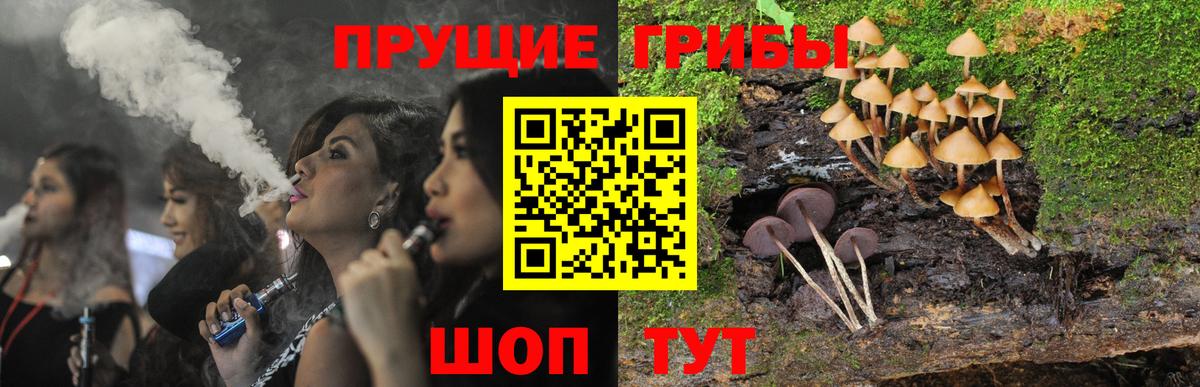 Галлюциногенные грибы MAGIC MUSHROOMS Воркута